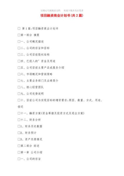 互联网加商业计划书怎么写_互联网加项目融资计划书模板