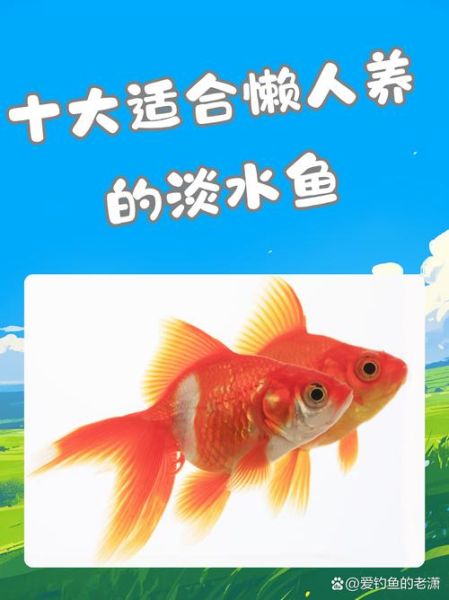 淡水鱼养殖赚钱吗_新手适合养什么品种