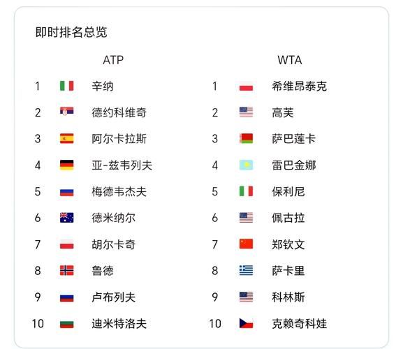 2013年全球网站排名_如何查看