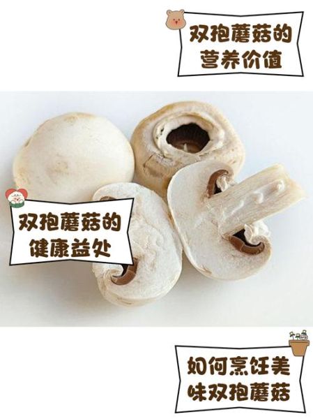 双孢菇种植前景怎么样_双孢菇市场利润大吗