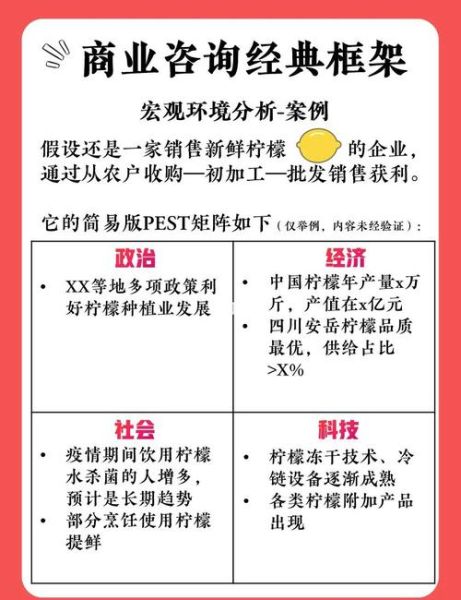 互联网信息系统pest分析怎么做_如何规避政策风险