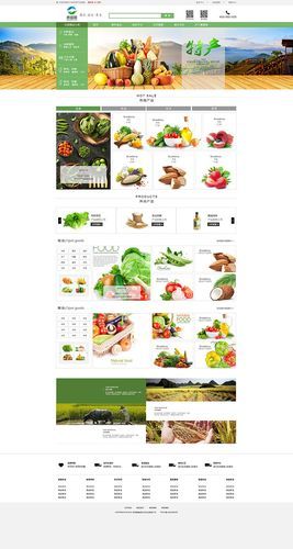 农村电商怎么做_农村电商有哪些平台