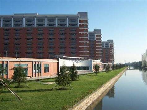 达丰前景怎么样_达丰未来发展趋势