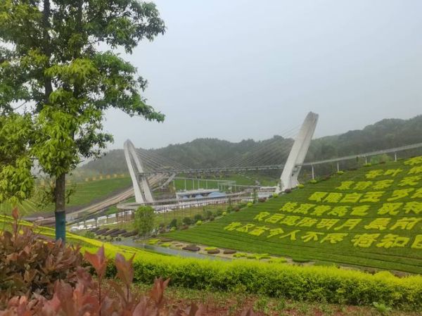 景区发展前景_未来五年怎么赚钱