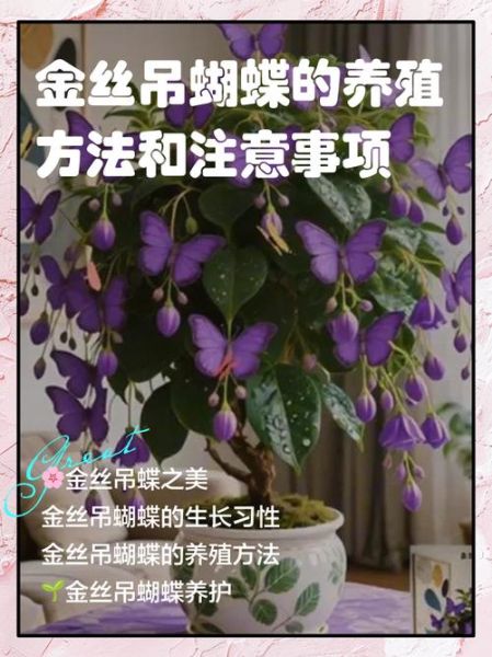 蝴蝶市场前景如何_蝴蝶养殖赚钱吗