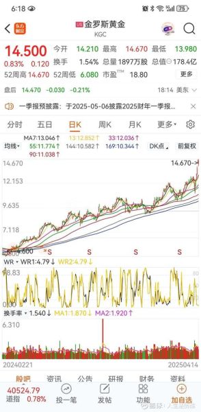 金矿价格走势分析_金矿投资前景如何