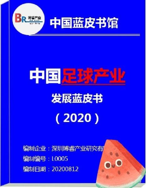 互联网足球发展规划_未来十年怎么布局