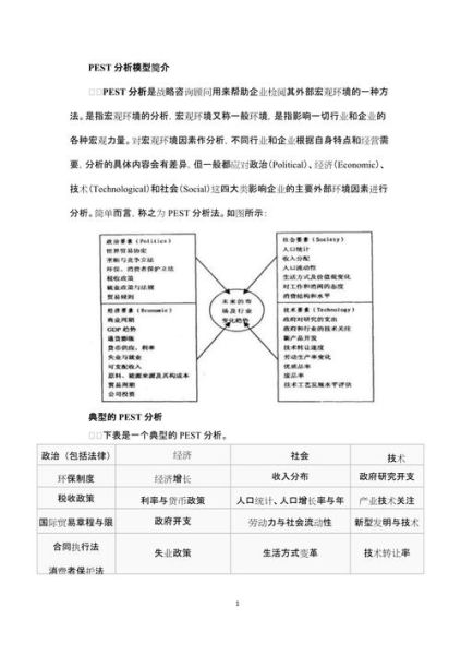 互联网经济pest分析怎么做_互联网经济pest模型应用案例