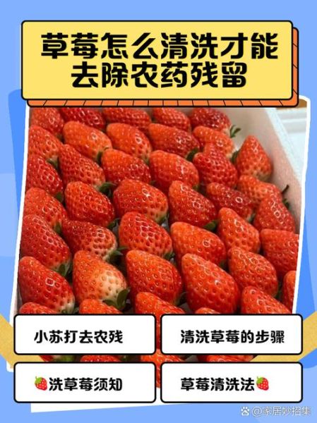 农药残留多久能挥发_农药残留怎么去除