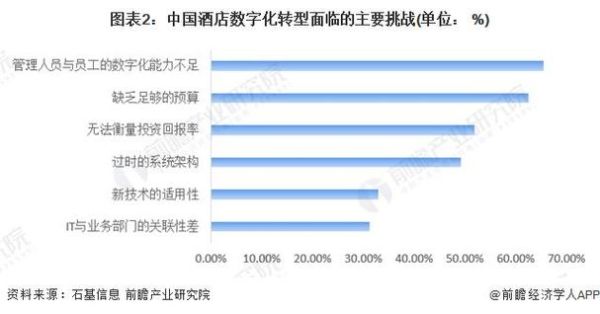 酒店行业发展前景如何_2024年酒店投资赚钱吗