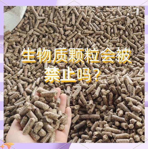 生物颗粒的利润有多大_生物颗粒前景怎么样