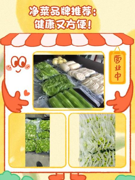 净菜加盟赚钱吗_净菜市场前景怎么样