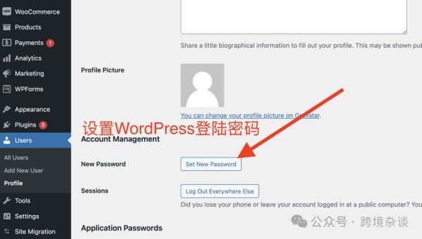 2024年跨境电商独立站怎么做_独立站SEO优化技巧