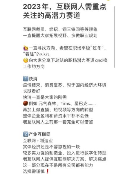 互联网公司发展前景怎么样_未来十年哪些赛道最赚钱