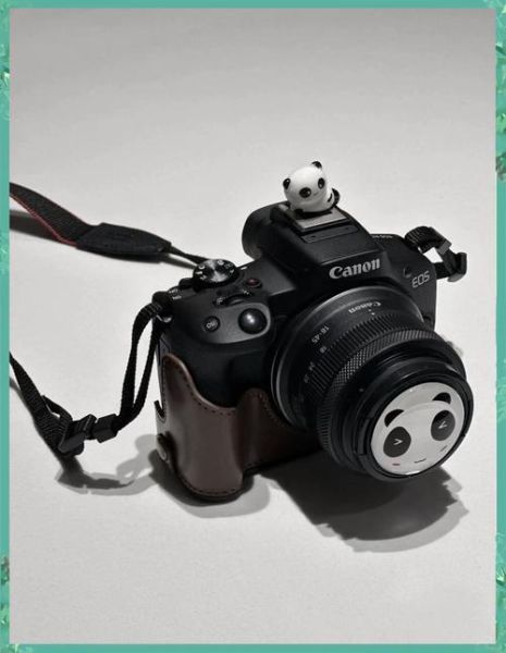 照相机前景怎么样_2024年值得入手吗