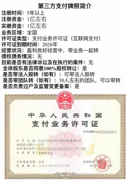 互联网支付业务如何盈利_第三方支付牌照申请条件