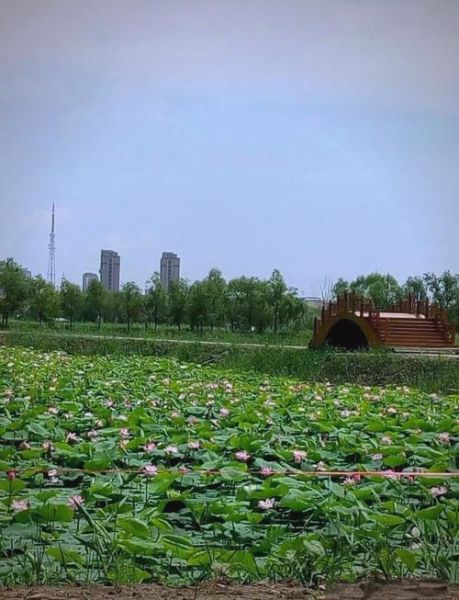 肇源旅游攻略_肇源未来发展潜力