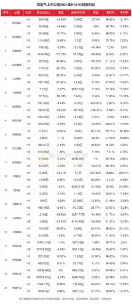 页岩气前景如何_页岩气未来发展趋势