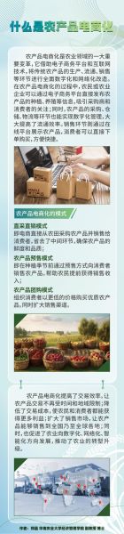 农产品电商怎么做_农产品前景如何