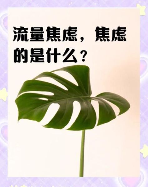 互联网餐饮营销劣势有哪些_如何破解流量焦虑