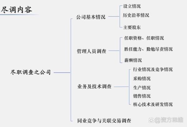 公司前景分析怎么做_如何评估企业未来潜力