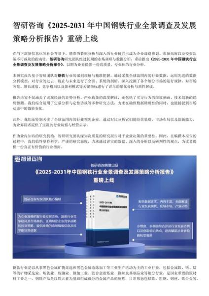 钢铁互联网的前景如何_钢铁B2B平台未来五年会怎样