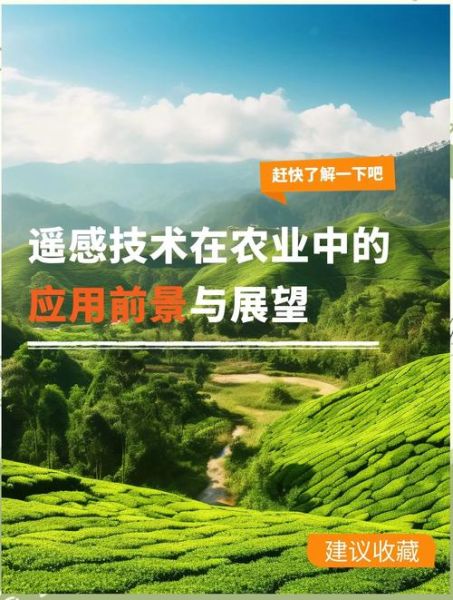 农业前景怎么样_未来农业发展趋势
