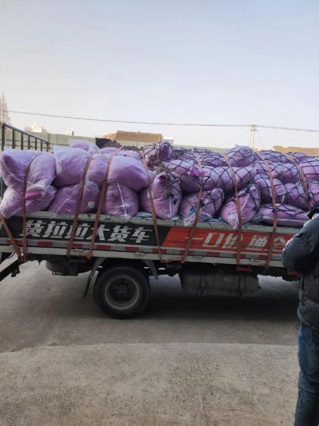 布匹行业现状及前景_2024年还能赚钱吗