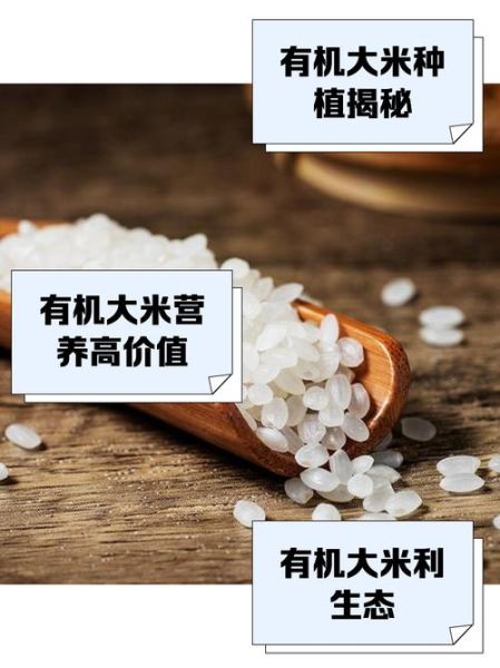 有机大米市场前景怎么样_有机大米值得投资吗