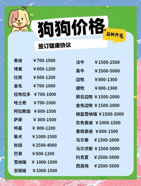 宠物行业前景怎么样_新手开宠物店需要多少钱