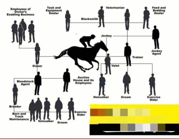 赛马行业前景如何_赛马行业盈利模式