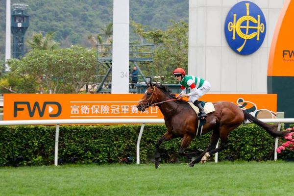 赛马行业前景如何_赛马行业盈利模式