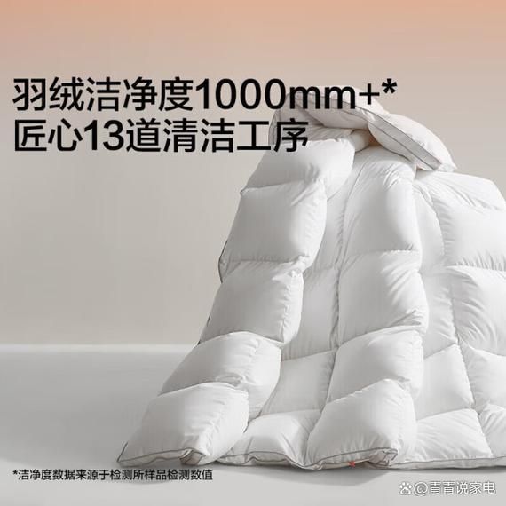 羽绒服怎么选_羽绒被什么牌子好