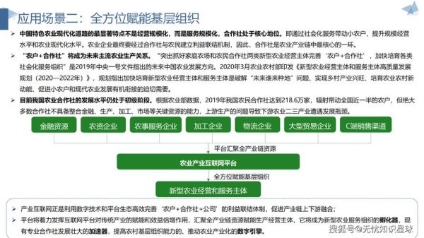 中国农业互联网现状_如何转型数字化