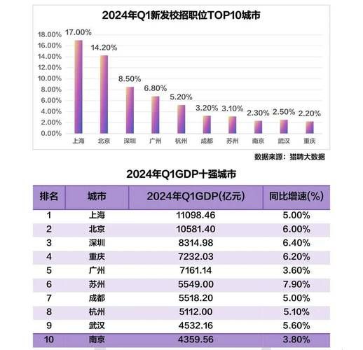 互联网职业环境分析报告_2024年就业趋势