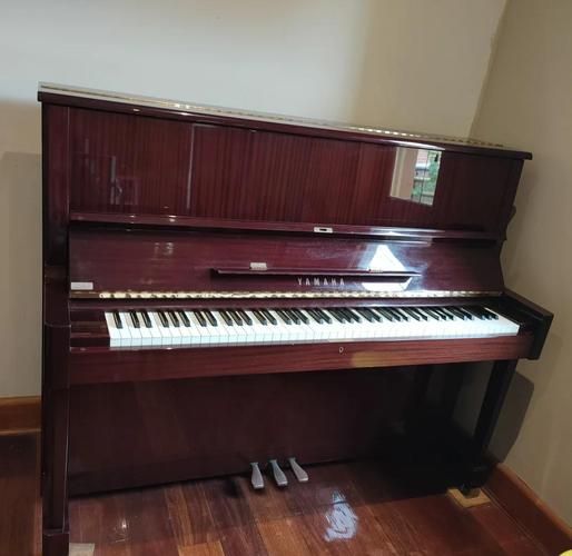 钢琴初学者买什么牌子好_二手钢琴值得入手吗