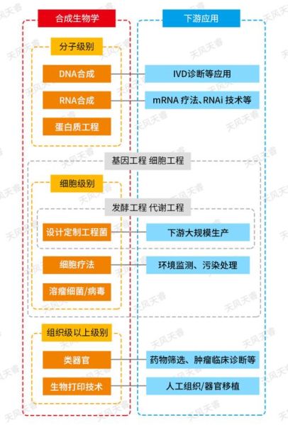 生物学发展前景_生物技术如何改变未来