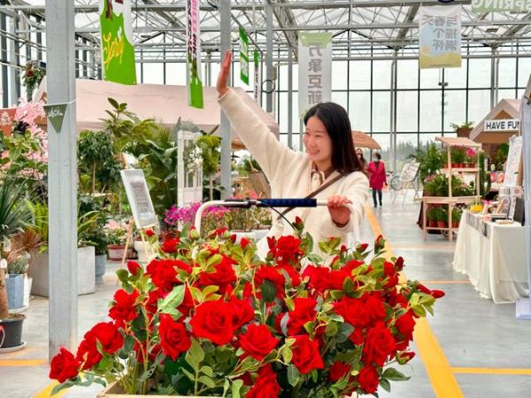 花卉产业前景如何_花卉行业赚钱吗