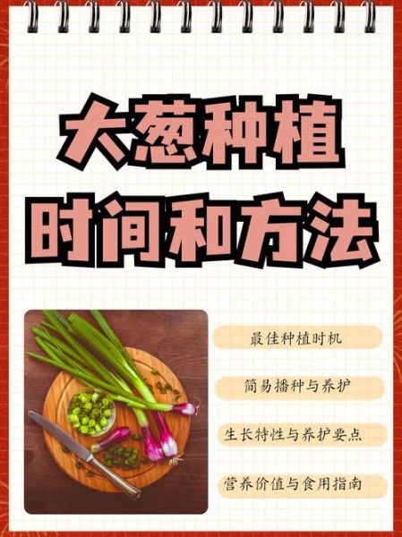 大葱种植前景如何_大葱市场销路好吗