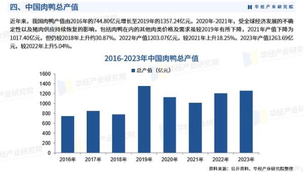 肉鸭养殖赚钱吗_2024年肉鸭市场前景分析