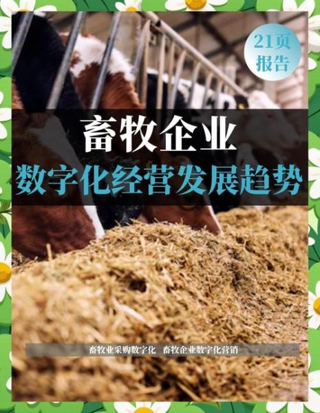 畜牧养殖行业前景怎么样_2024年还能赚钱吗