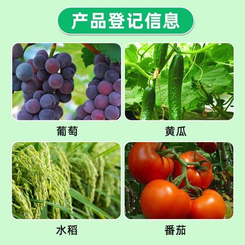 微肥前景怎么样_微肥市场有多大