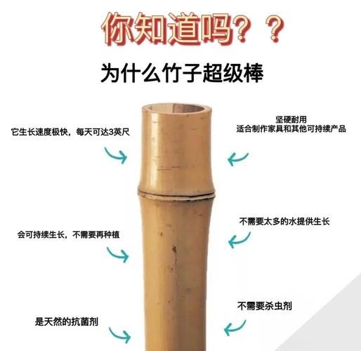 竹制品环保吗_竹制品有哪些优缺点