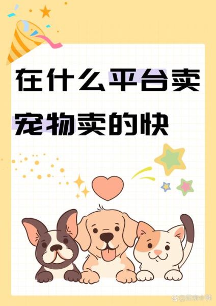 宠物电商前景怎么样_宠物电商赚钱吗