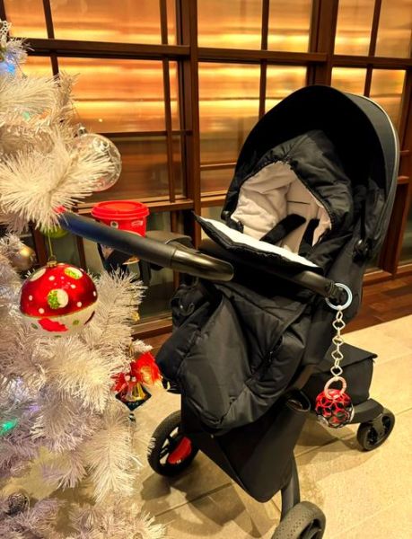 婴儿推车怎么选_新生儿睡袋有必要买吗