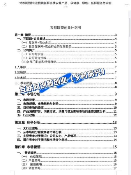 农村电商怎么做_农村互联网创业成功案例