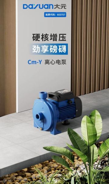 大元泵业值得长期投资吗_大元泵业未来五年前景如何