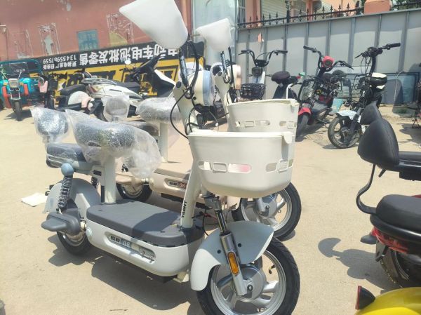 电踏车市场前景怎么样_电踏车值得投资吗