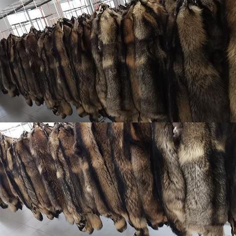 皮毛前景怎么样_皮毛行业未来五年趋势