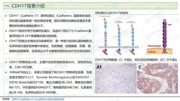 靶点发展前景如何_热门靶点有哪些